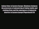 Read Italian firms in Eastern Europe: Relations between the processes of outsourcing of Italian