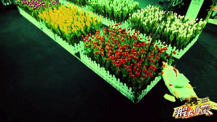 《明星烧脑时间》06案: 魏有钱恋上何香水自曝是凶手 Crime Scene EP.6 Recap