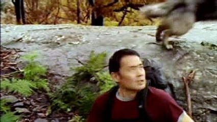 Laddie - FedEx Commercial