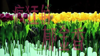 《明星烧脑时间》06案: 撒天才实力撒娇讨好侦探惨被拒 Crime Scene EP.6 Recap