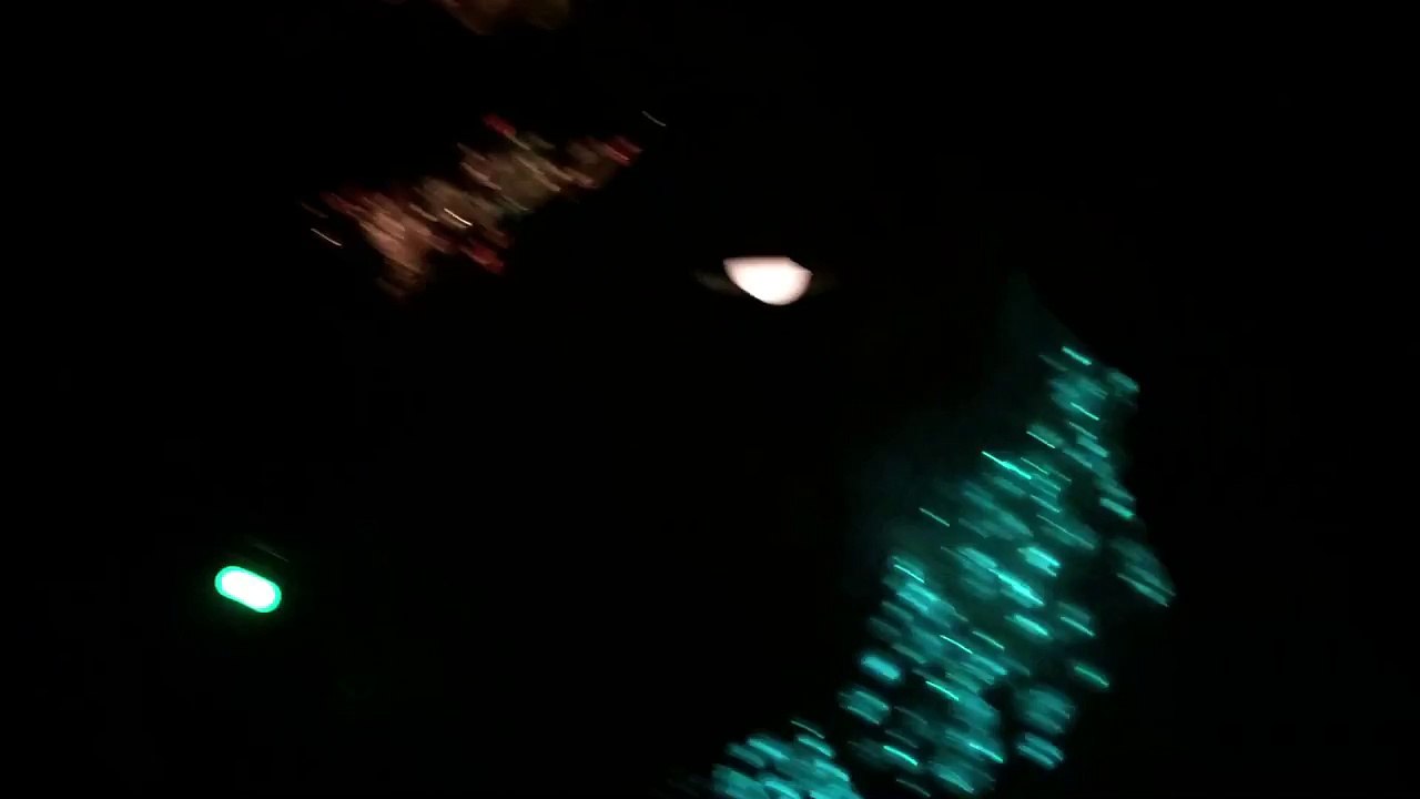 Journey to the Centre of the Earth ride @ Tokyo DisneySea