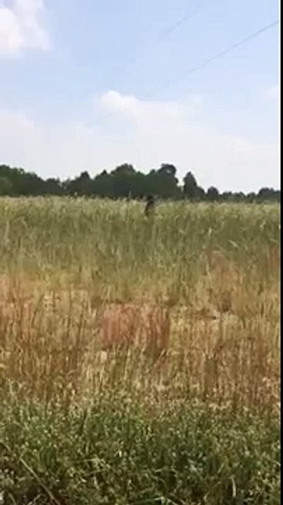 Crazy Girl Gone Wild...