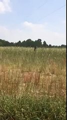 Crazy Girl Gone Wild...