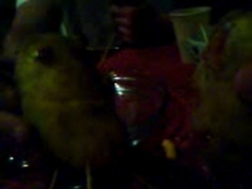 Mr et madame patate