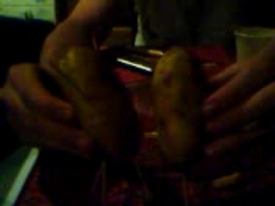 mr et madame patate 2