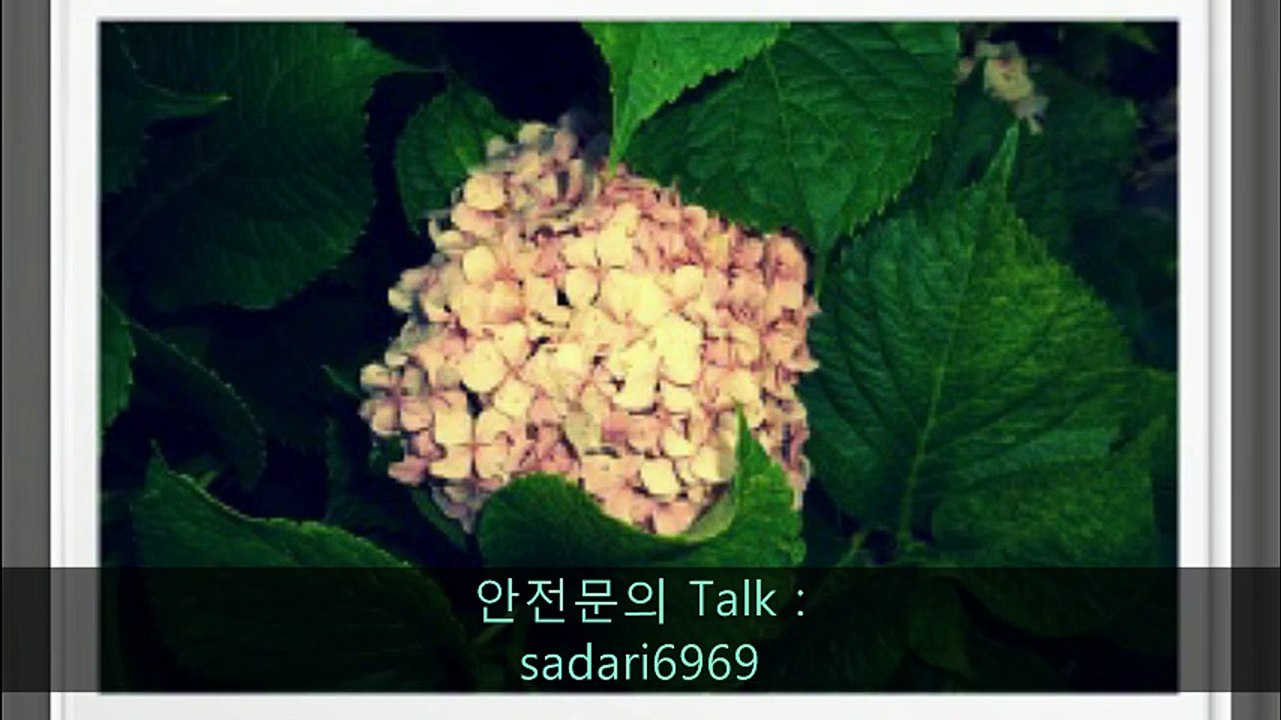 #안전놀이터 #안전놀이터추천 #메이저놀이터 #메이저놀이터추천 #안전공원 #안전공원추천 #토토사이트 #토토사이트추천 #사설사이트 #놀이터추천