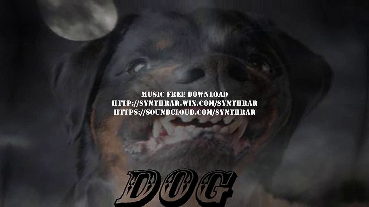 SYNTHRAR-MUSIC-DOG