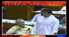 Imran Khan's Excellent Reply To PMLN Members For Making Noise During His Speech