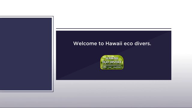 Hawaii eco divers – explore under water life by Scuba diving