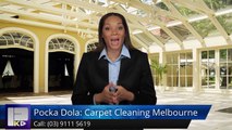 Pocka Dola: Carpet Cleaning Melbourne Glen Huntly Perfect5 Star Review by Nicholas L.