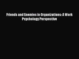 Read Friends and Enemies in Organizations: A Work Psychology Perspective PDF Online