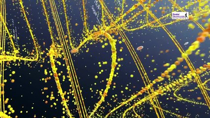 Mumbai Midnight Cycling Features On Trt London Media