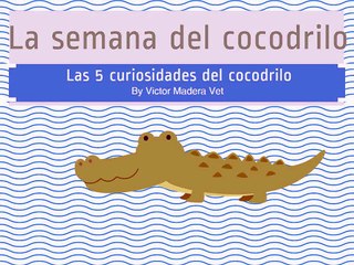 Curiosidades de los cocodrilos, del veterinario Victor Madera