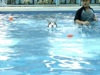 Angies` Swimming