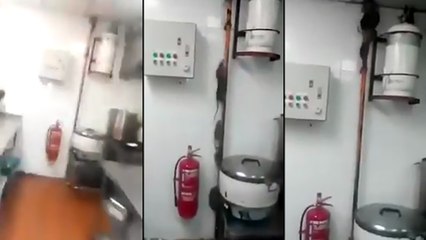 Une colonie de rats s'échappent de sa cuisine quand il allume la lumière !