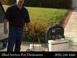 San Diego Exterminator - Allied Services