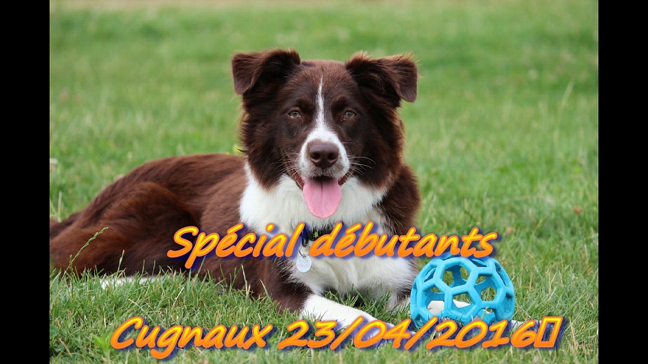 Jag Cugnaux 23-04-2016