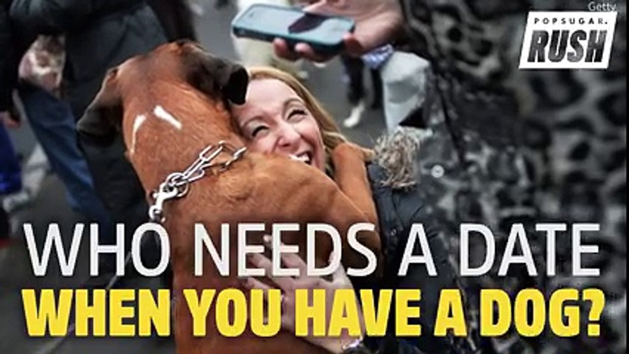 Dog's Love
