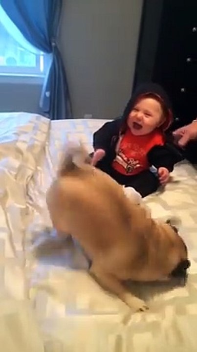 Cute babies