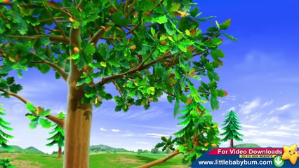 LittleBabyVEVO - Things That Go Slow Song | Nursery Rhymes | Original Song