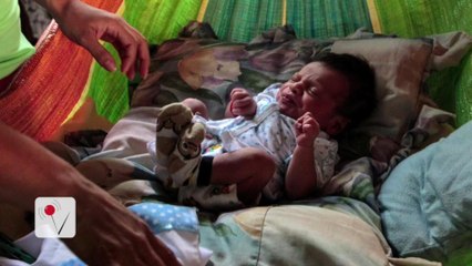 Senate Passes 1.1 Billion Dollar Bill to Help Combat Zika