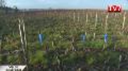 Château Boyd-Cantenac et Château Pouget