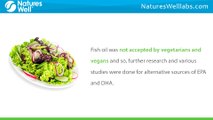 Eat Algae to Boost Your Health with Omega 3 | Children’s Multivitamins | Vitamins for Kids