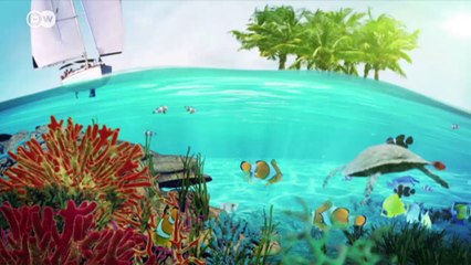 Wie man das Paradies beschützt | Wissen & Umwelt