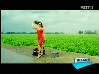 прикольные соперничество, голосует