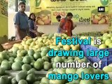 Everything can wait, not Mango Festival