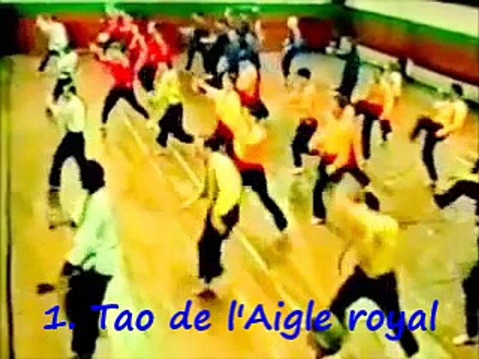 Kungfu style Academie Trankinh Taichi Qigong.Paris. Tél: 01 45 77 30 78: