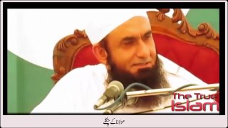Maulana Tariq Jameel Top 10 comedy compilation