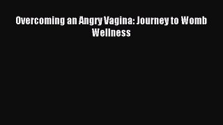 Download Overcoming an Angry Vagina: Journey to Womb Wellness Ebook Online