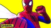 SPIDERMAN vs Batman battle- Spider-man Superhero Fun in Real Life - SHMIRL (1080p)