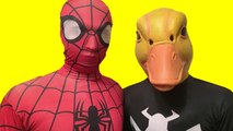 Spiderman Vs Duck - Duck Waters Spiderman In Real Life _ Superheroes Movie (1080p)