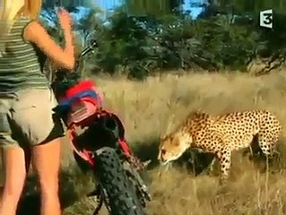 Brave Girl...in action wow!!!