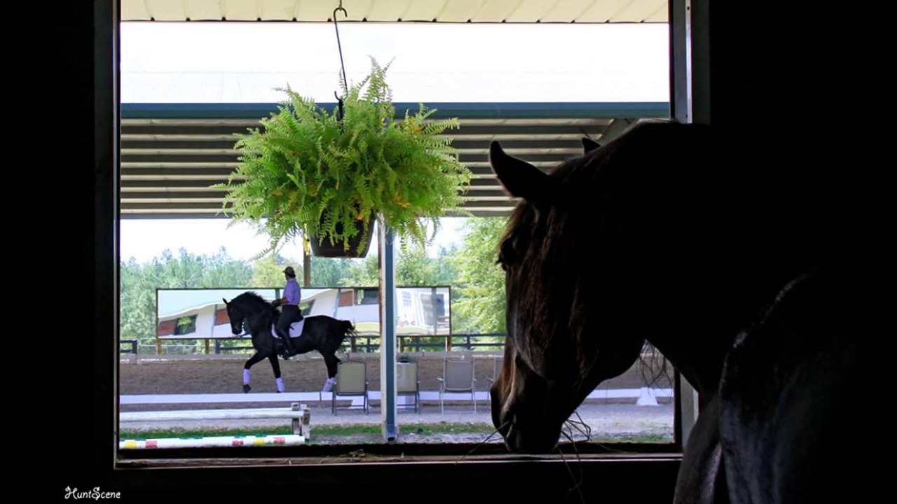 Diana Hunt Photography and Fine Art Prints - (803) 295-2222