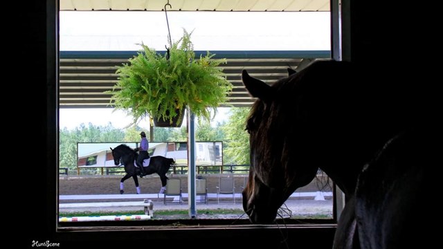 Diana Hunt Photography and Fine Art Prints - (803) 295-2222