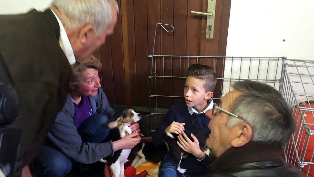 Enzo reçoit Miracle, un des chiots qu'il a sauvés