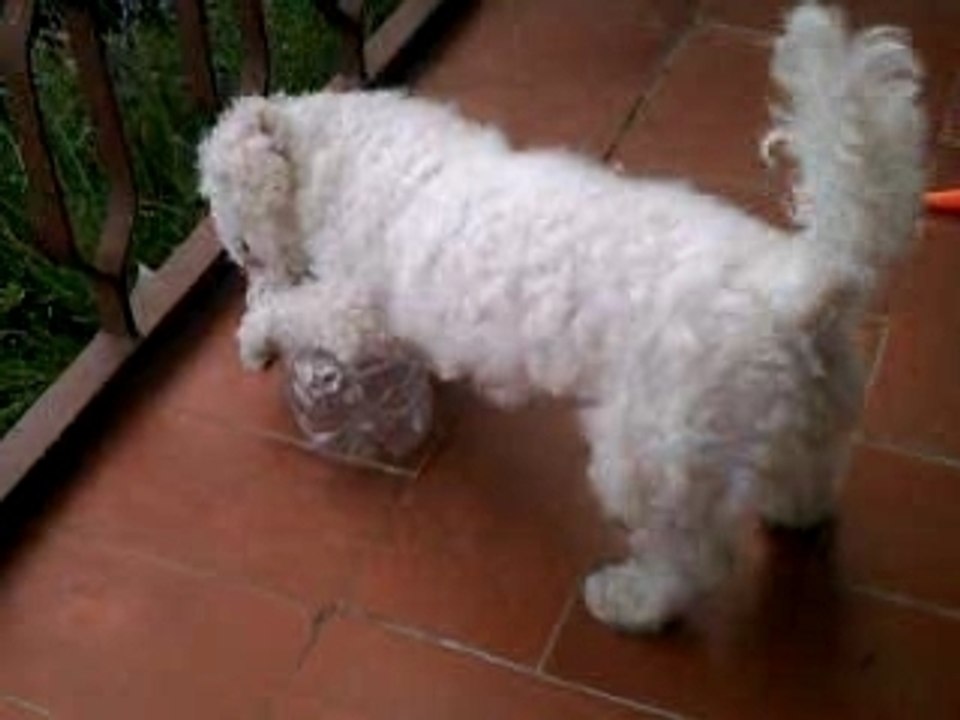 Aby debouche une bouteille