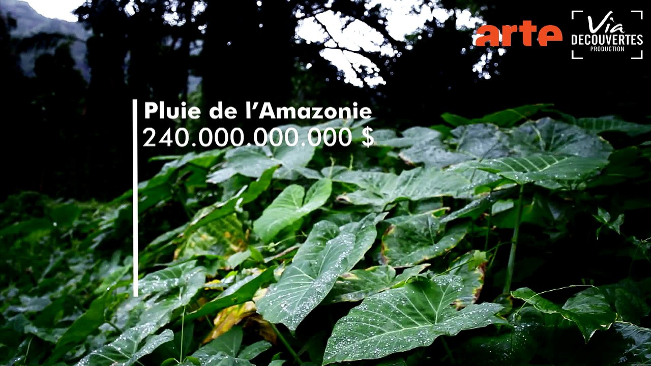 Nature, le nouvel eldorado de la finance-Bonus-1