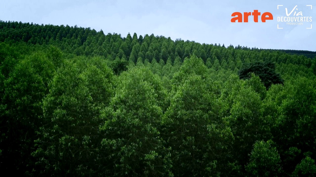 Nature, le nouvel eldorado de la finance-Bonus-3