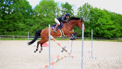 Production Photographique et Audiovisuelle Equestre Haut de Gamme
