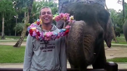 Elephant show in Bali