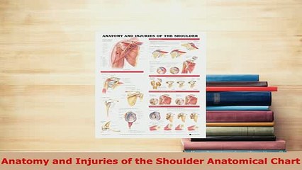 Download  Anatomy and Injuries of the Shoulder Anatomical Chart  Read Online