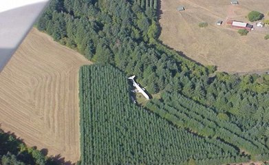 Napusteni avion usred sume u svojoj unutrasnjosti krije veliko iznenadjenje