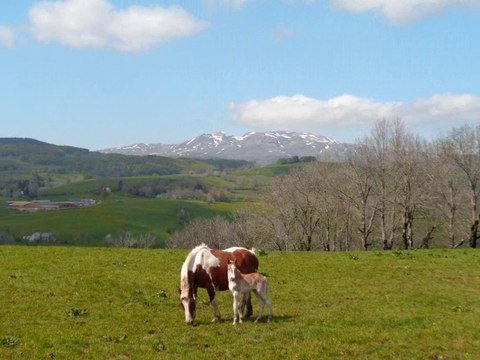Auvergne pentecôte 2016 Rando entre lacs et cascades