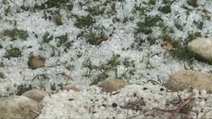 Dolu, Tarım Alanlarına Zarar Verdi