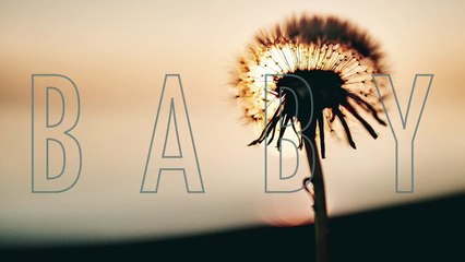 Cody Webb - More Than A Little (Lyric Video)