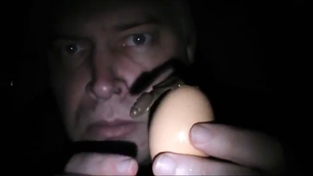 Видео пародия на гомункул от Геннадия Горина